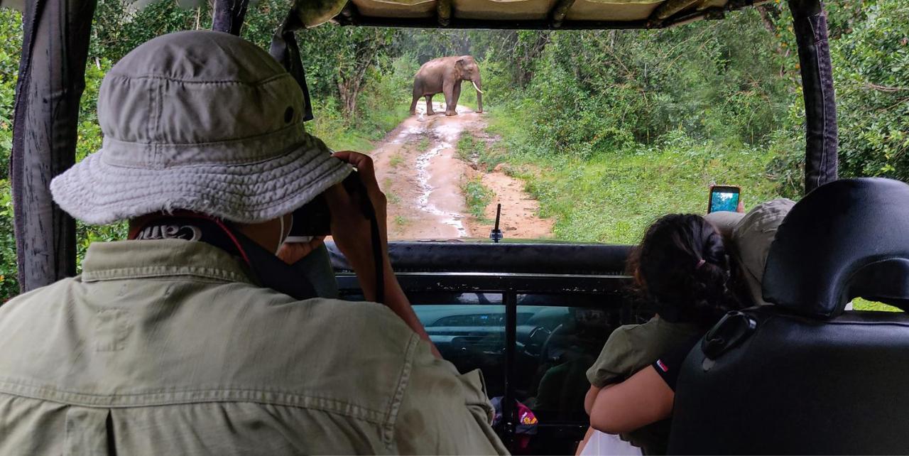 Big Game Yala - By Eco Team Hotel Exterior photo