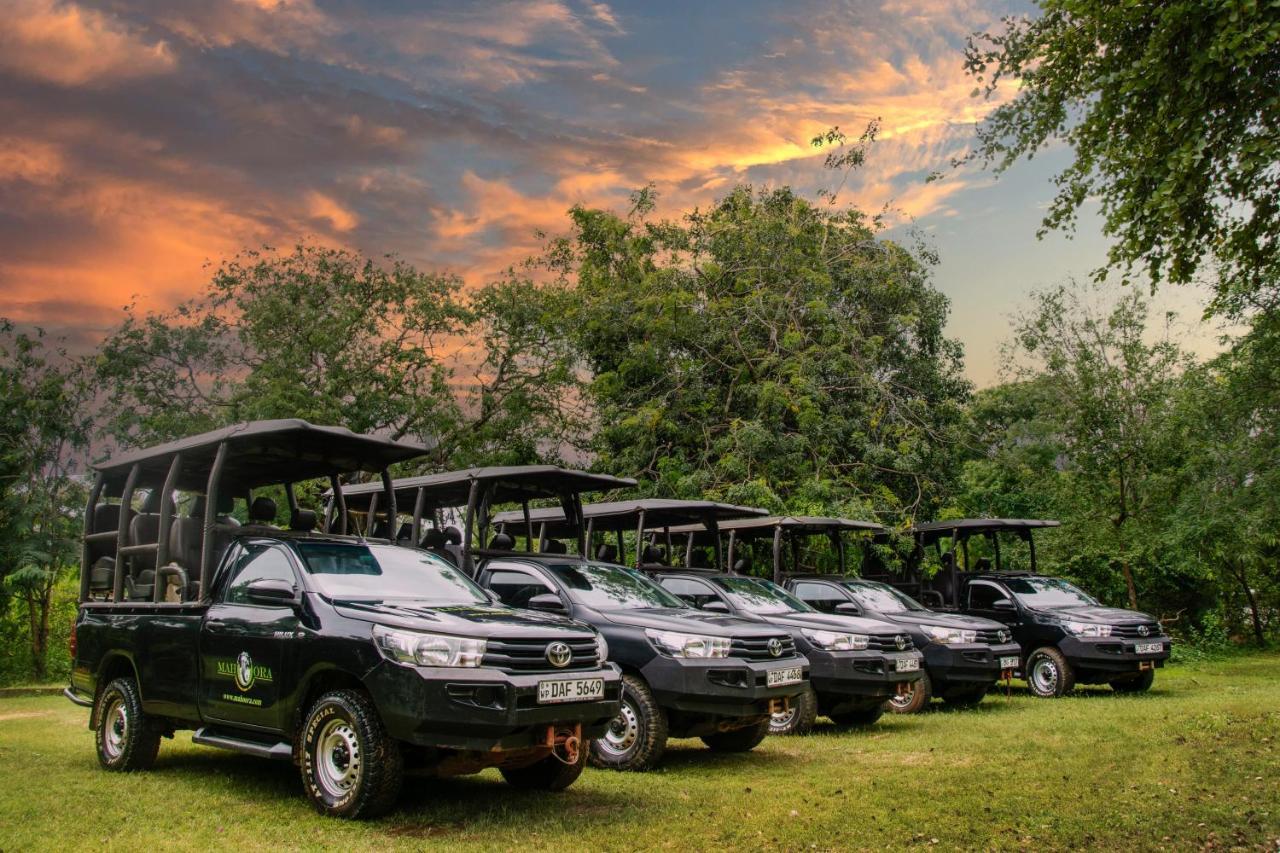 Big Game Yala - By Eco Team Hotel Exterior photo