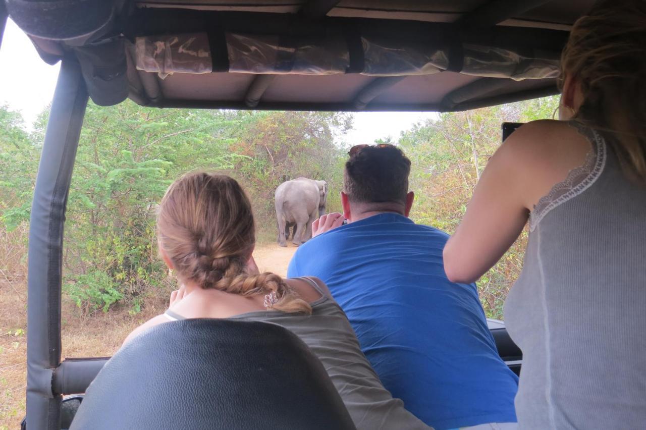 Big Game Yala - By Eco Team Hotel Exterior photo